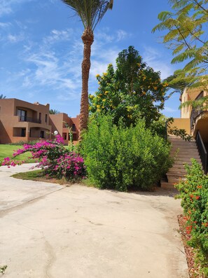 Appartamento, 2 camere da letto, fumatori, balcone | Ingresso della struttura