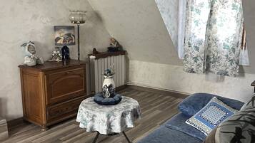 TV connectée, cheminée, livres, médiathèque