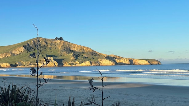 A coastal landscape with a hill, beach, and vegetation.