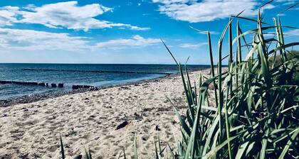 Das Ferienhaus Liva in Dranske auf Rügen