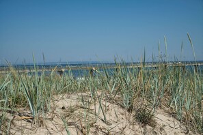 Tæt på stranden
