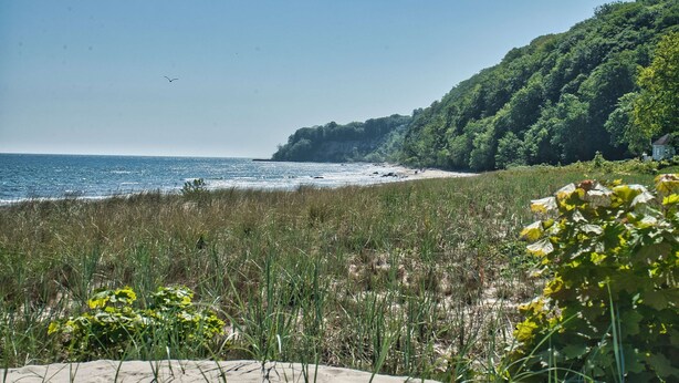 A coastal landscape with a beach, grassy dunes, and a forested hill. - Die Ferienwohnung Nr. 04 im Haus Rugier in Göhren (Göhren)