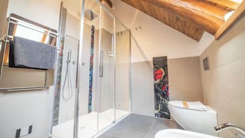 Shower, hair dryer, bidet, towels
