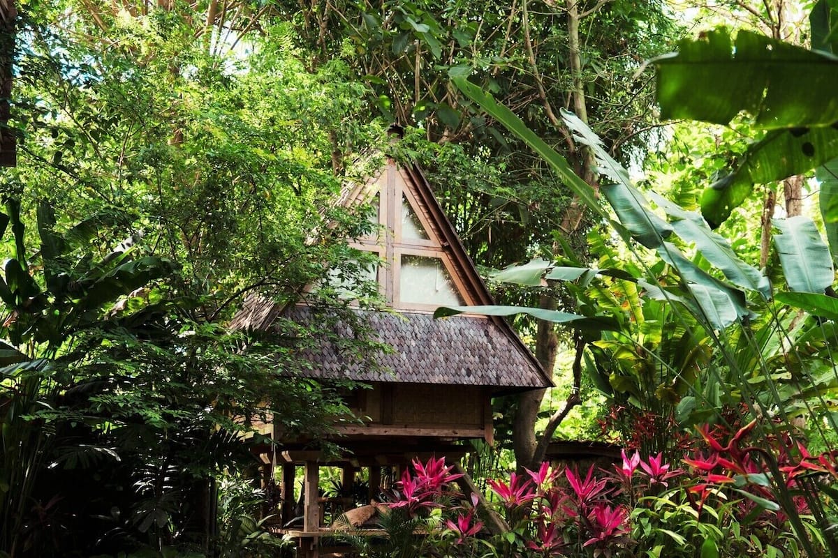 A small wooden house surrounded by lush greenery and tropical plants.