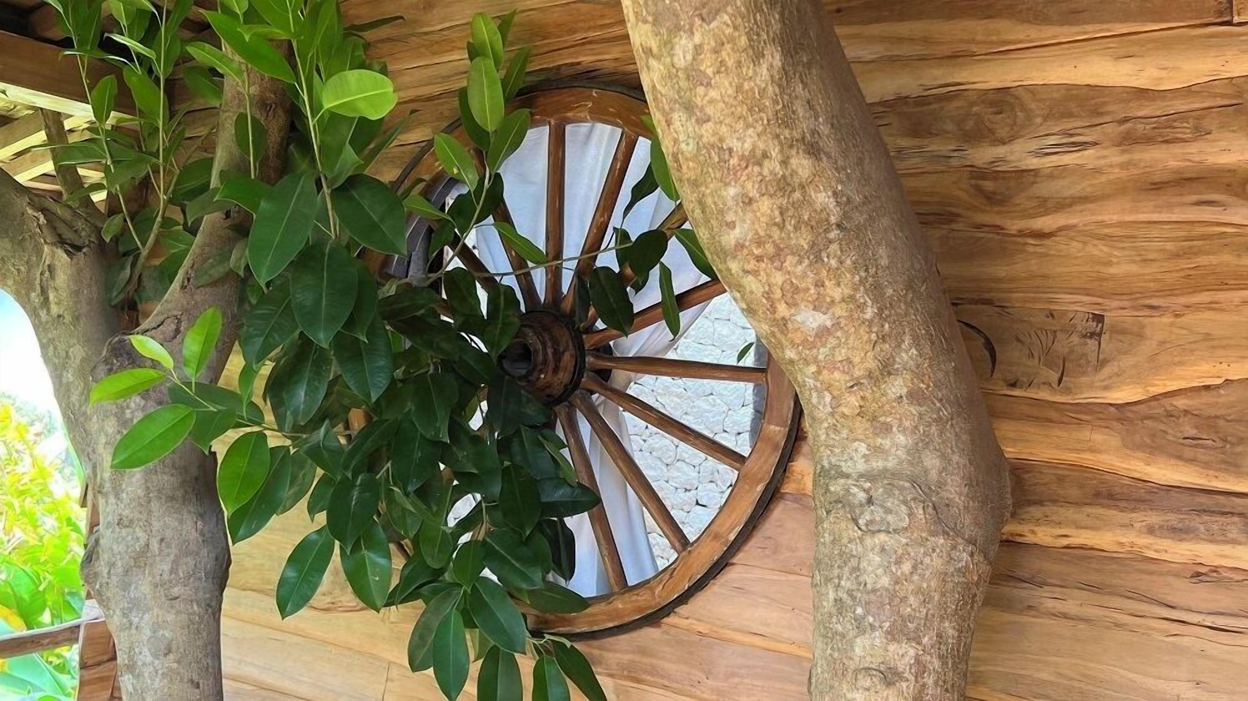 Una estructura de madera rústica con una rueda grande y follaje verde.
