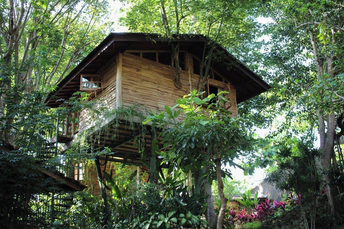 A wooden treehouse with a balcony, surrounded by dense foliage.