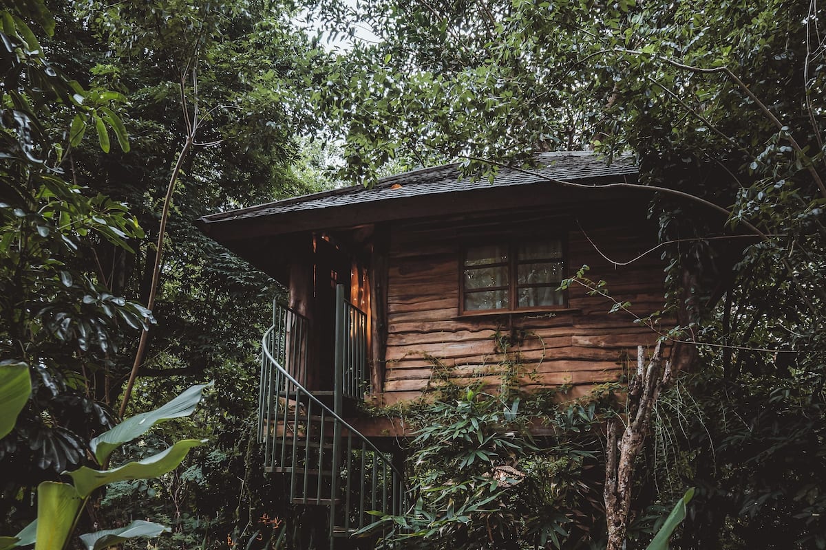 A rustic cabin surrounded by dense foliage, with a spiral staircase leading to the entrance.