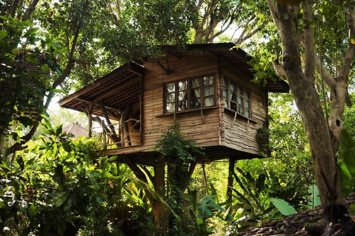 A wooden treehouse with a simple design, built on a sturdy tree trunk, surrounded by lush greenery.
