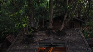 A wooden cabin with a loft bedroom, a small porch, and a staircase leading to the upper level. - Roots Tree House (Ungasan)