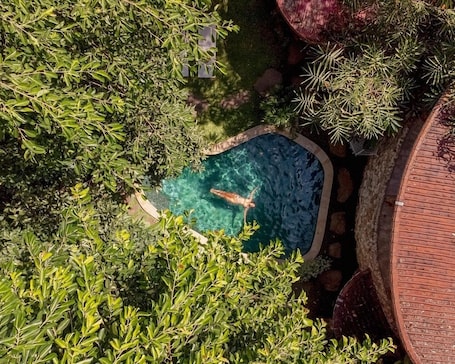 Una piscina al aire libre, sillones reclinables de piscina