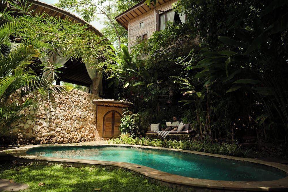 Roots Tree House