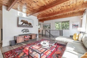 Smart-TV, Kamin, Bücher, Arbeitsbereiche