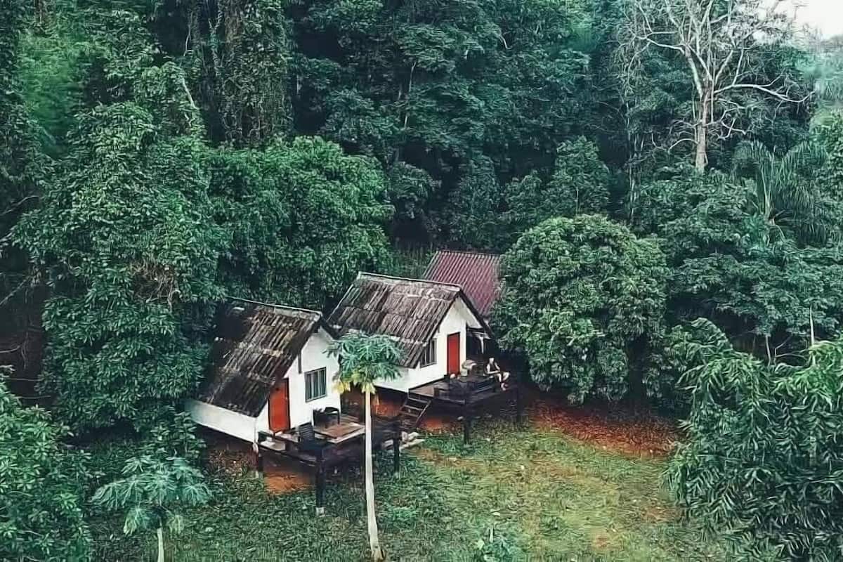 A small house surrounded by dense forest.