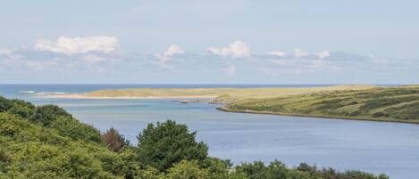 A coastal landscape with a clear view of the sea, rolling hills, and dense greenery.