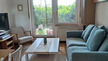 TV