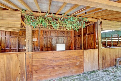 O 91582绿色Kasongan小屋