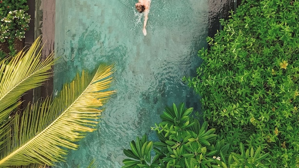 A person swimming in a clear pool surrounded by lush greenery. - Villa Penyu (Gili Trawangan)
