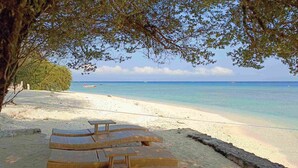 A beach with a row of wicker lounge chairs and a tree providing shade. - Villa Penyu (Gili Trawangan)