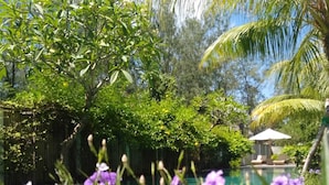 A pool surrounded by lush greenery and purple flowers. - Villa Penyu (Gili Trawangan)