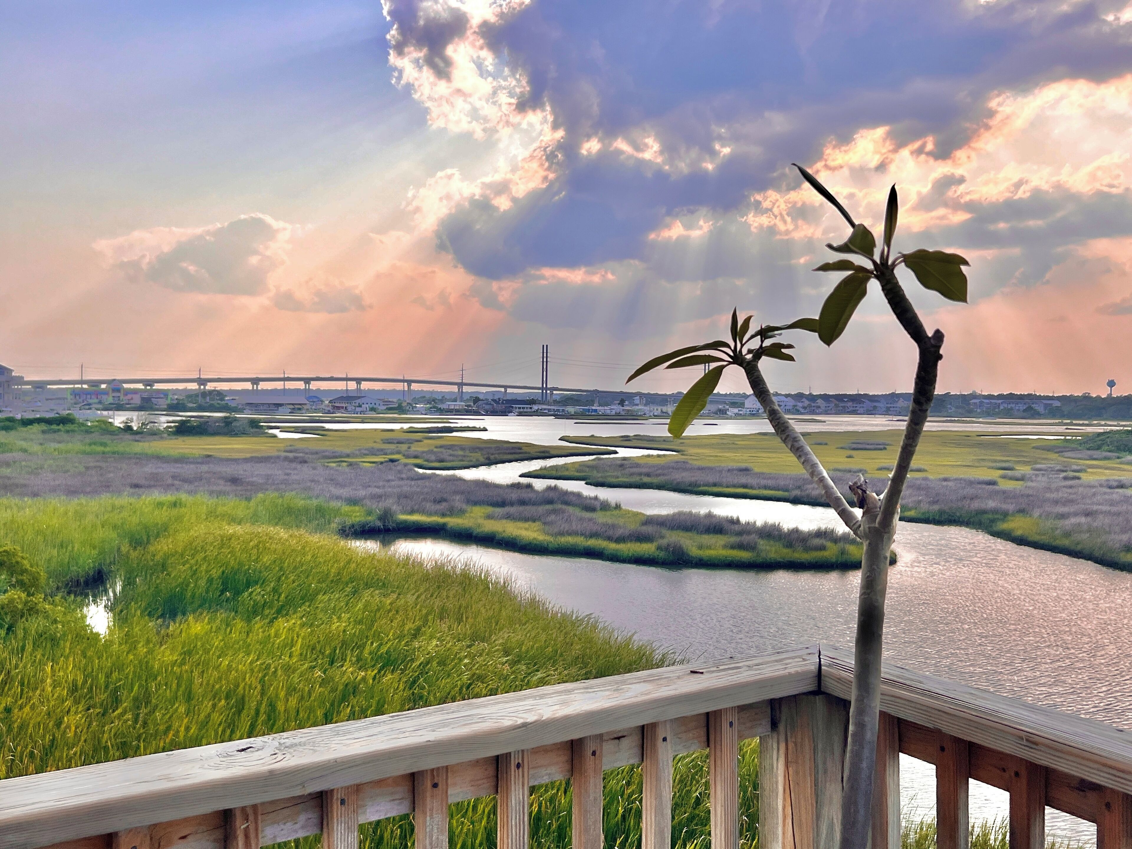 A view of a river with a bridge in the background, surrounded by grassy areas and a wooden railing.
