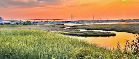 A coastal landscape with a bridge, marshy areas, and a clear sky.
