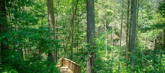 Creekside Oasis – Pet-Friendly Cottage on Town Creek