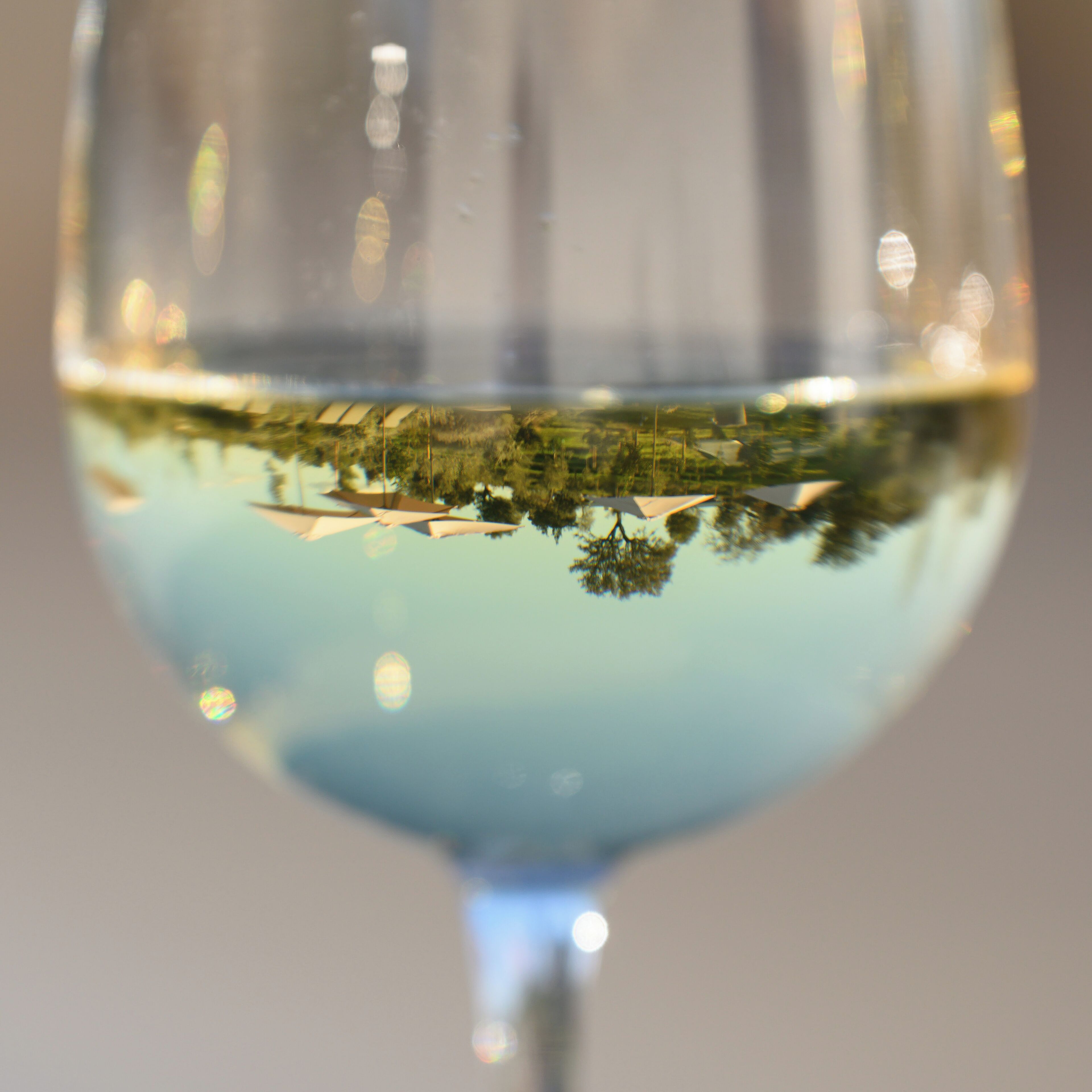 A close-up of a wine glass with a reflection of a landscape.