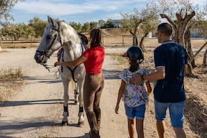 Reiten