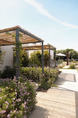 A covered outdoor area with a pergola, a garden with pink flowers, and a pathway leading to a building.