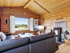 Tv, pejs, dvd-afspiller