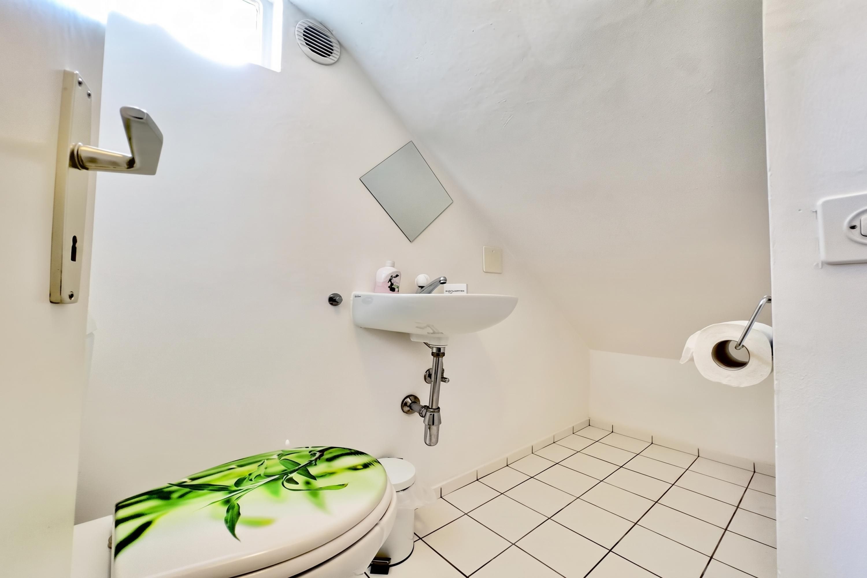 Een badkamer met toilet, wastafel en douche.