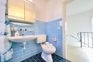 Duschwanne, Haartrockner, Handtücher, Seife