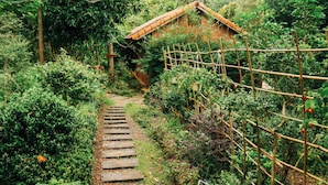 Exterior - Suoi Rao Ecolodge (Ho Chi Minh City)