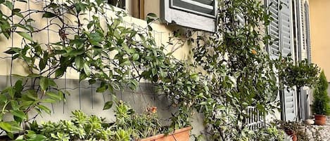 Detalle exterior