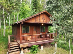 Exterior - Forget Me Not Cabin in the Woods w/ Wood Stove, Wifi, W/D, Pet Friendly! (Victor)