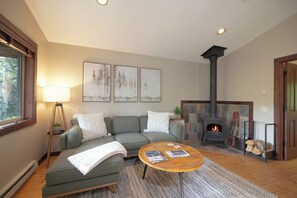 Smart TV, fireplace, books