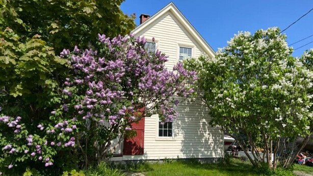 Une maison de plain-pied avec une porte rouge et un revêtement blanc, entourée d’une végétation luxuriante et d’arbres en fleurs.