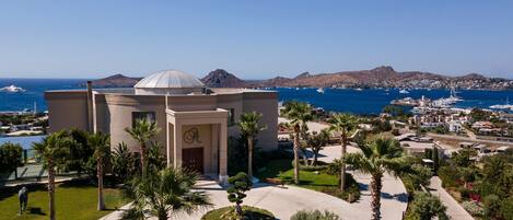 A modern building with a dome, surrounded by palm trees and a view of the sea and boats.