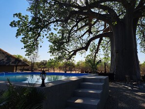 Exterior - Hambana Lifestyle Lodge (Musina)