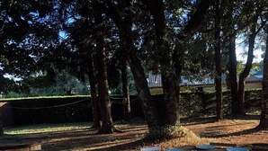 Un espace de restauration en plein air avec une longue table en bois dressée pour un repas, entourée d’arbres et d’un champ d’herbe.