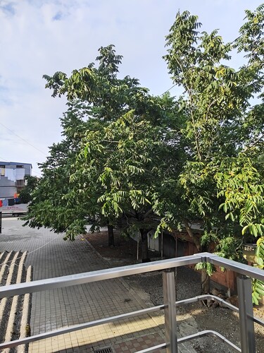 2-room apartment with all amenities
