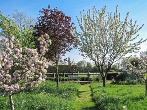 Un jardin agrémenté de divers arbres en fleurs, d’un banc en bois et d’un sentier.