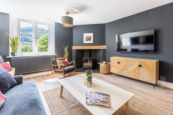 Smart TV, fireplace, stereo