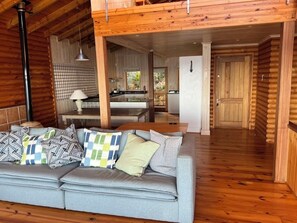 TV, fireplace, books