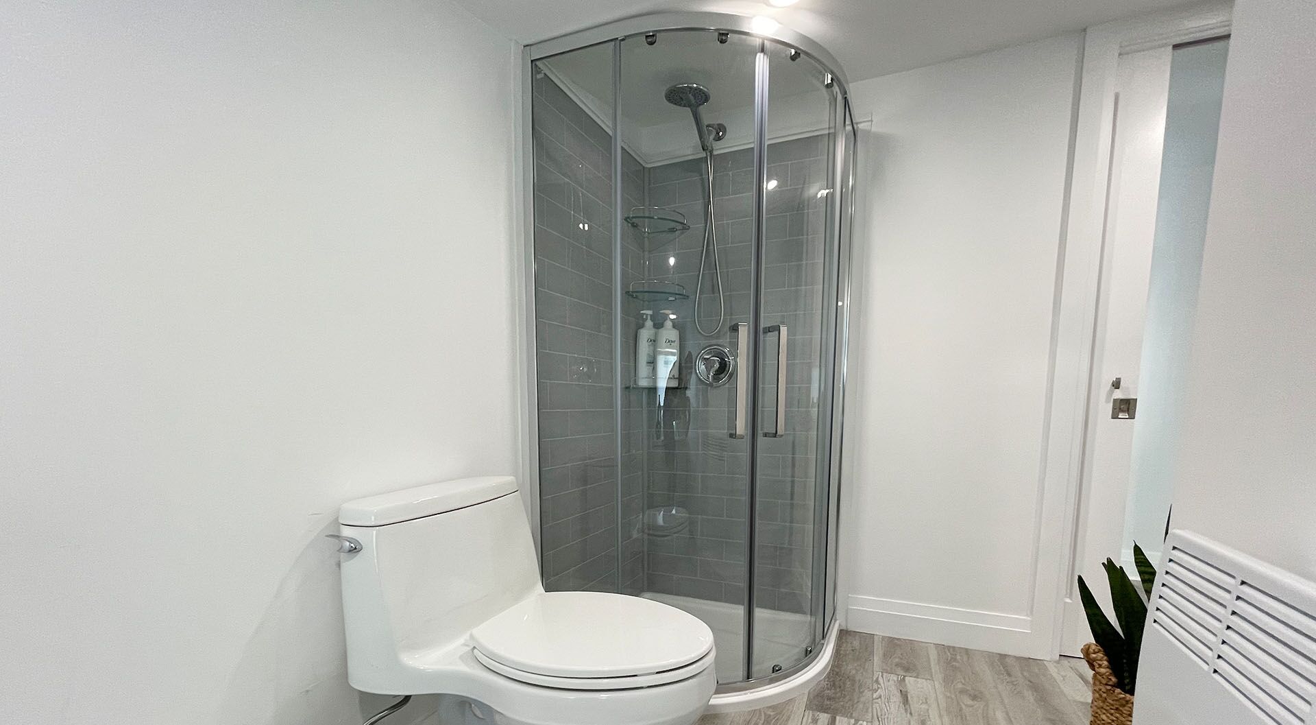 A modern bathroom with a glass-enclosed shower, a white toilet, and a small plant.