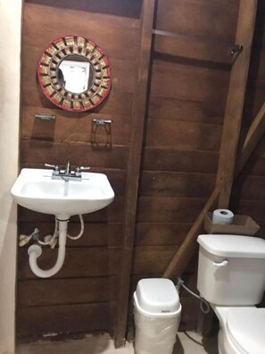 A small bathroom with a white sink, a toilet, and a mirror on the wall.