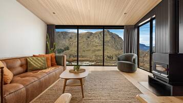 Smart TV, fireplace, books, stereo