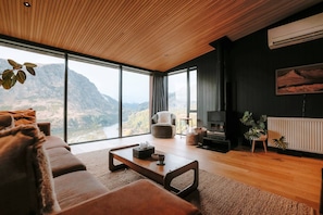 Smart TV, fireplace, books, stereo