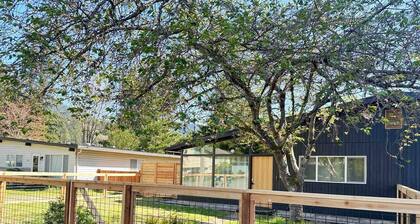 Fenced Yard, Trails out the back door, Minutes Walk to Downtown