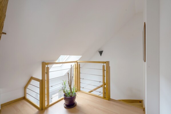 A corner of a room with a wooden floor, a potted plant, and a wooden railing.